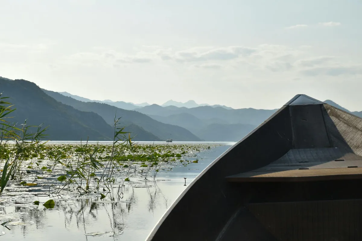 7 Alasan Take-Two Tunda Borderlands 4 di Switch 2