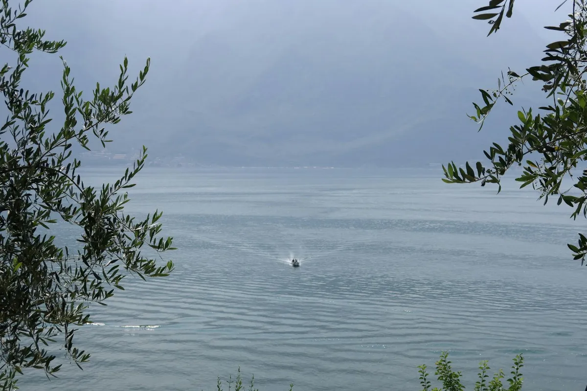 7 Alasan Canon G7 X III Limited Edition Wajib Tahu!